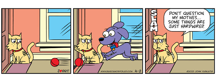 Comic strip showing a cat and a dog in daily chaos, featuring playful interaction and humorous dialogue.