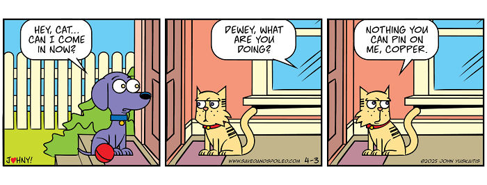 Comic strip showing a dog asking a cat to come inside, highlighting daily chaos between dog and cat.