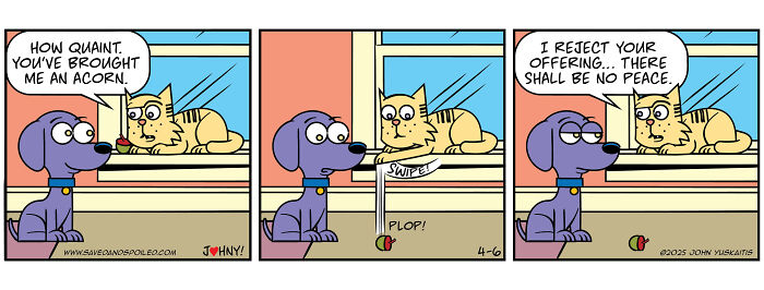 Comic strip showing daily chaos between a dog and cat, featuring humorous interaction over an acorn.
