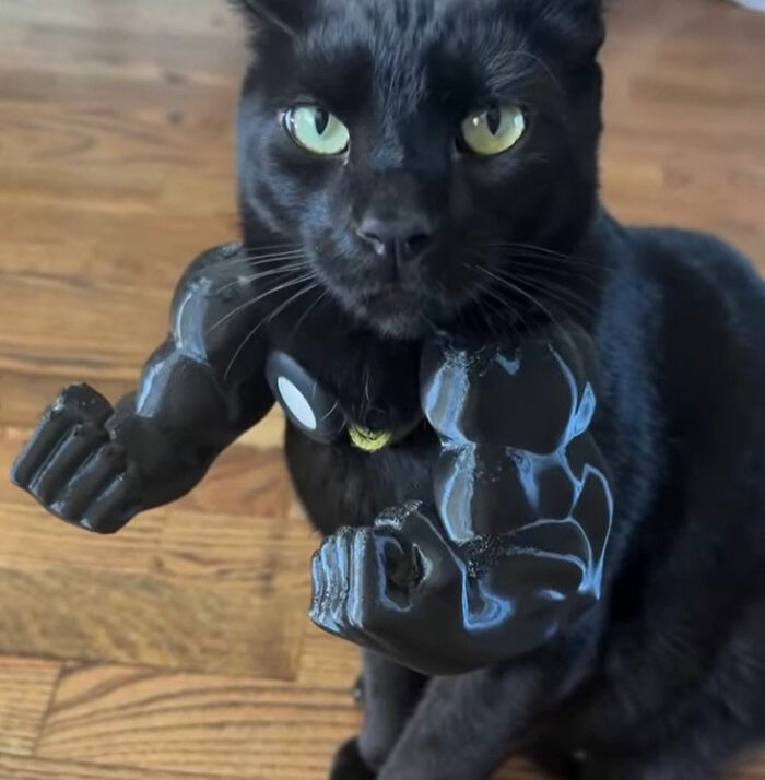 Black cat doodle with muscular arms flexing, created by artist inspired by viral cat pics.