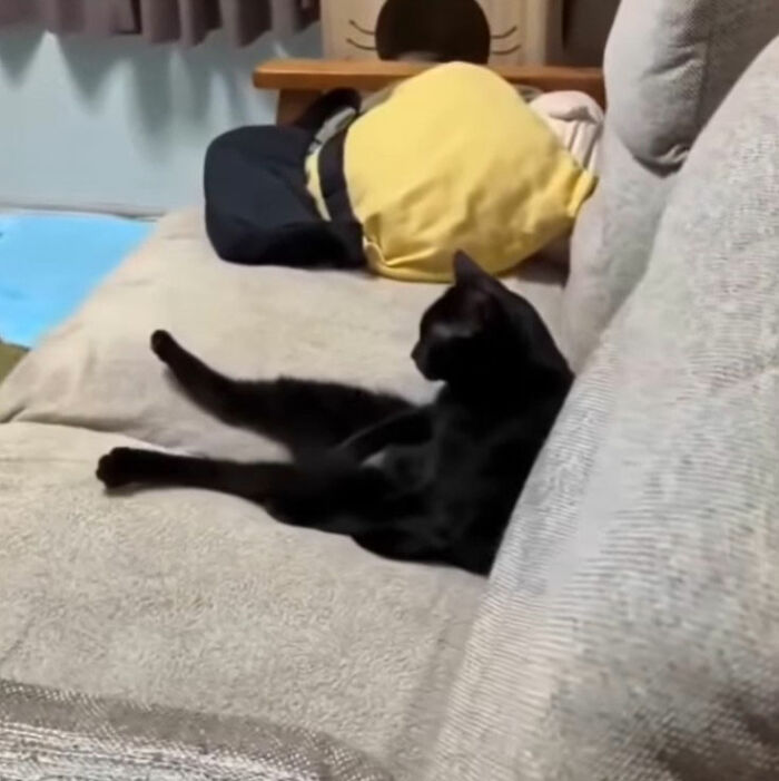 Black cat doodle with exaggerated long legs and yellow eyes, inspired by viral cat pics in humorous artwork.