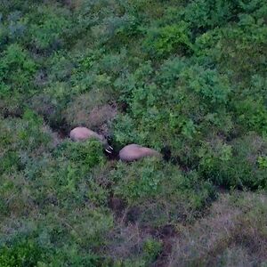 manjulasridhar avatar