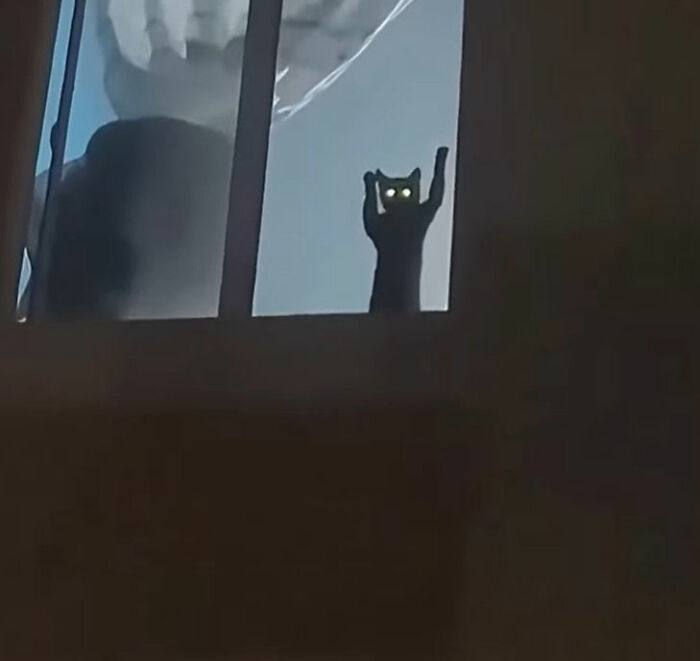 Digital doodle of a black cat with glowing eyes standing and raising its paws in a dark room, viral cat pics inspired.