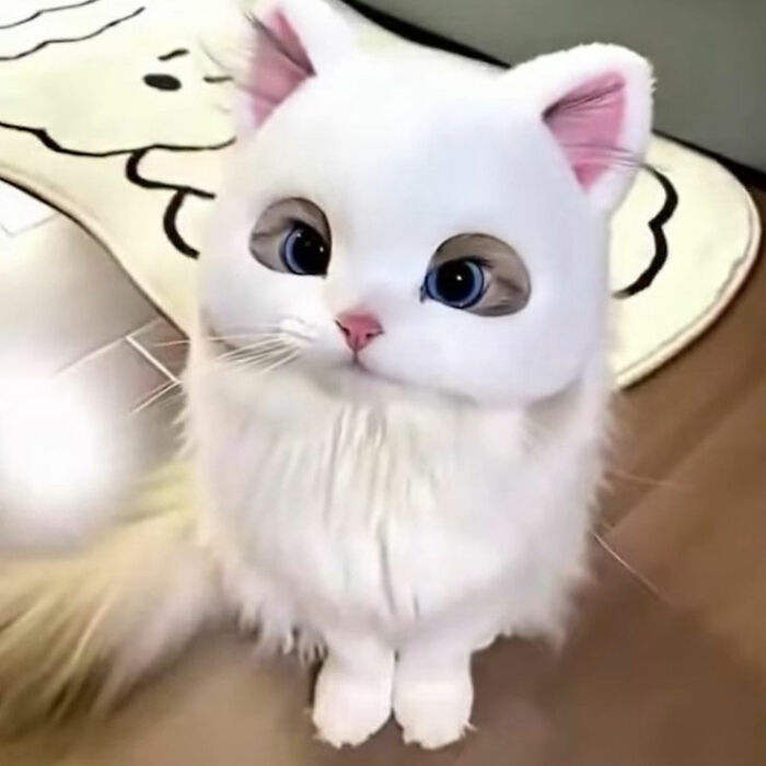 Minimalist doodle of a white cat with pink ears and quirky eyes, highlighting viral cat pics by an artist.