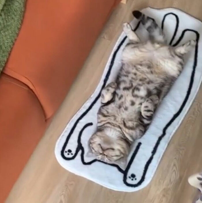 Minimalist doodle of a viral cat lying down, showcasing spot-on humor in this artist's viral cat pic series.