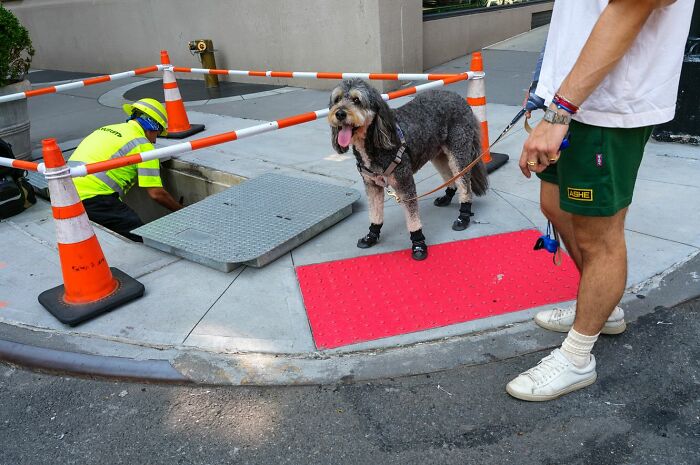 Man walking a dog in protective boots near a street construction site in an urban setting, showing everyday life.