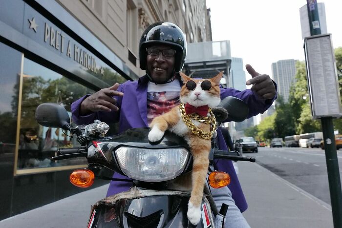 Man wearing a helmet and purple jacket poses on a motorcycle with a cat dressed in sunglasses and gold chains in street photo.