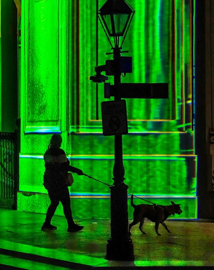 Silhouette of a person walking their dog past a street lamp with vibrant green light in a powerful street photo.