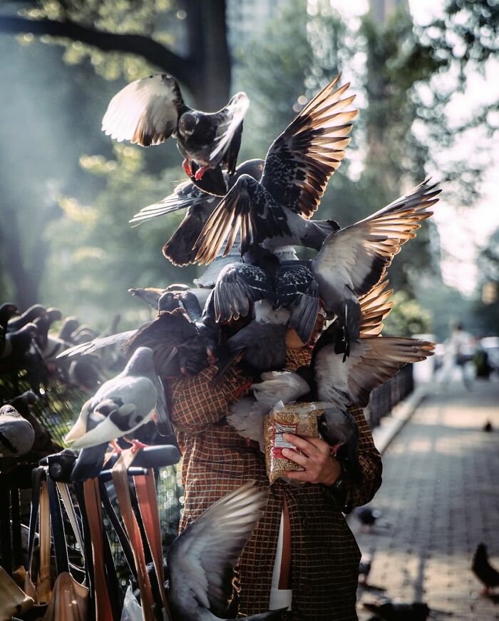 Person feeding pigeons on a city street surrounded by powerful street photos capturing the beauty of everyday life.