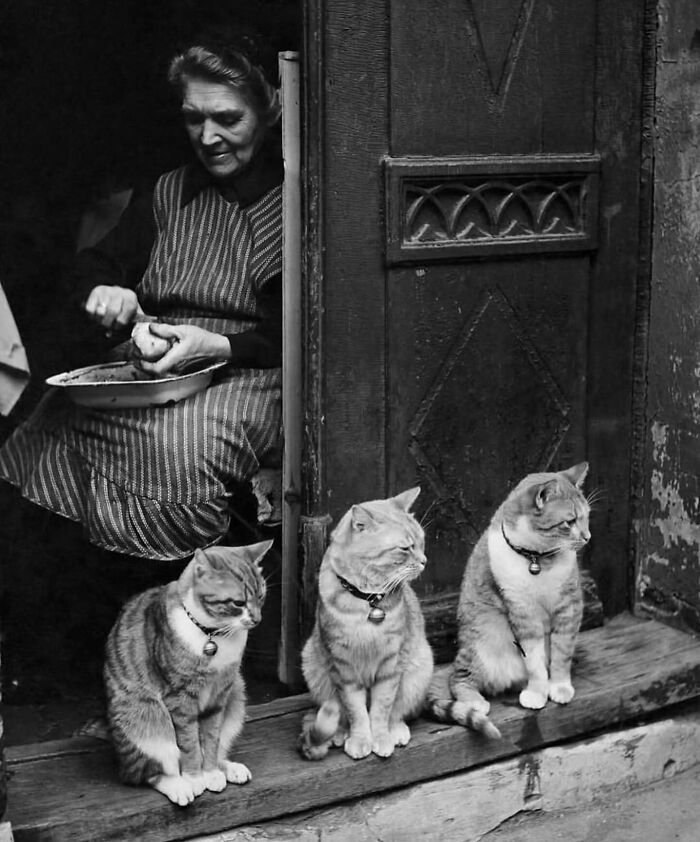 Black and white street photo of an elderly woman peeling potatoes with three cats sitting outside a worn doorway in everyday life.
