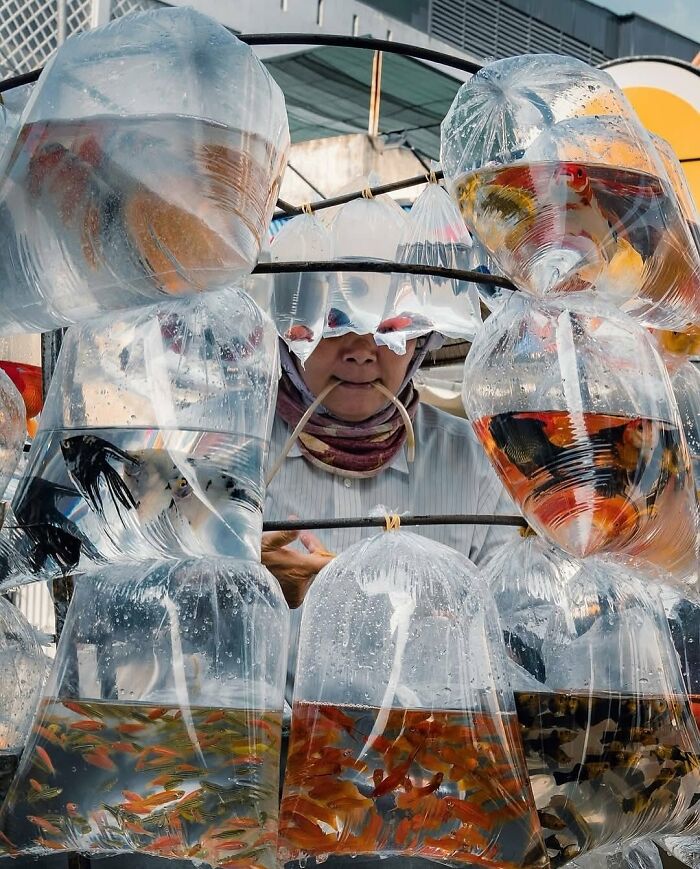 Vendor selling fish in plastic bags displayed on racks, a powerful street photo revealing the beauty of everyday life.