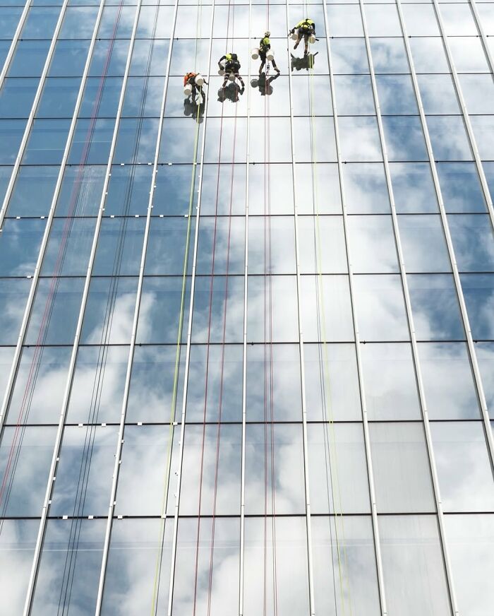 Four workers suspended on ropes cleaning the glass windows of a tall urban building in a powerful street photo.