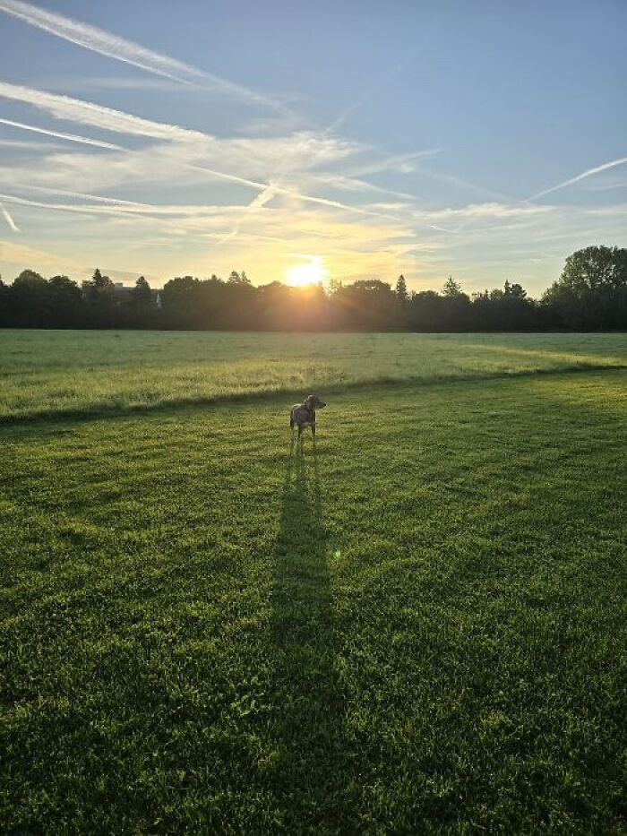 July Is When We Can Watch Every Sunrise. Two More Weeks An I Will Miss It For Half A Year