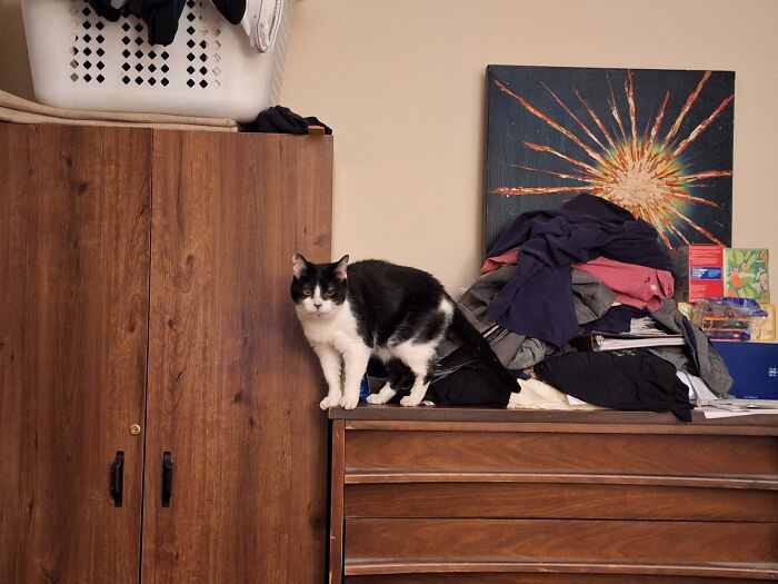 Tatiana Exploring The Ruins