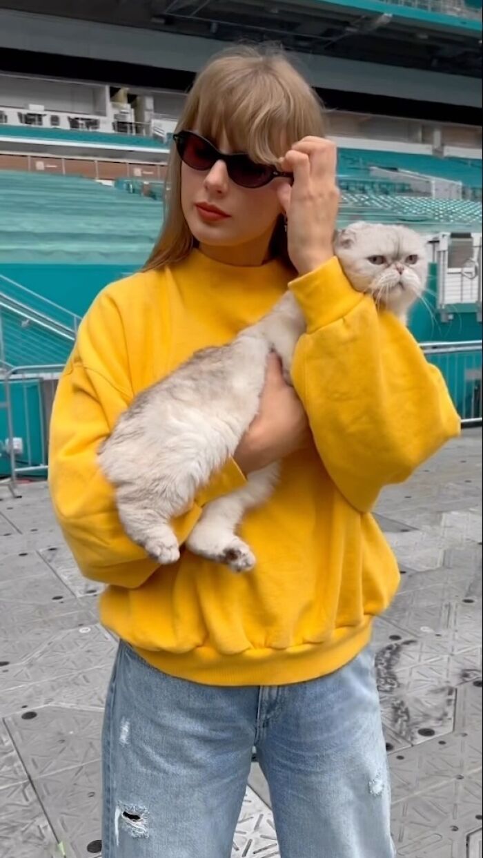 Taylor Swift wearing sunglasses and a yellow sweatshirt holding a cat, hinting at new album reveal countdown.