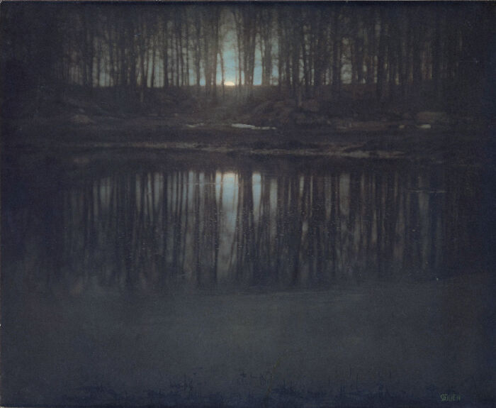 Dark forest silhouette reflected on calm water at dusk, capturing the triumph and tragedy of the 20th century.