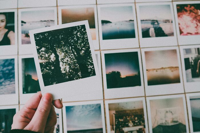 Hand holding a Polaroid photo with nature scene against a wall of vintage photos in then vs now scenarios.