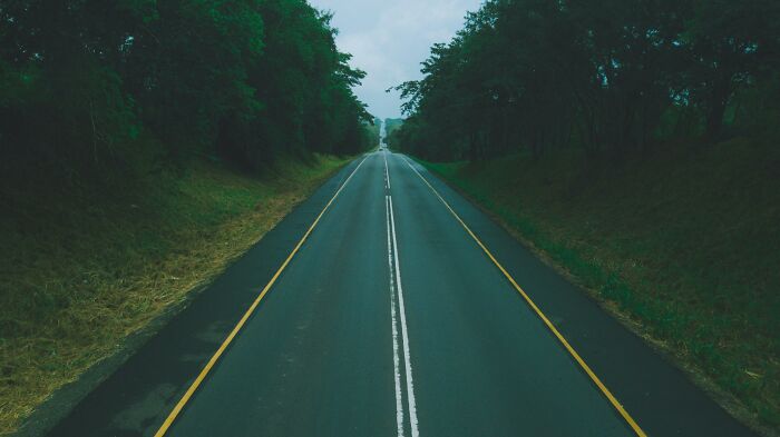 Empty road stretching through dense green trees illustrating then vs now scenarios comparison.