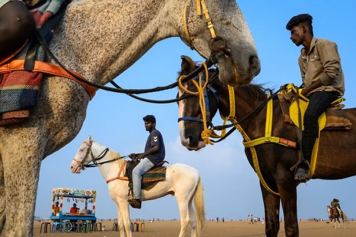 Two men riding horses at the beach captured in vibrant street photos transforming everyday life into art.
