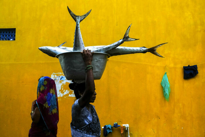 Woman carrying large fish on her head against a vibrant yellow wall, capturing unforgettable street photos of everyday life.