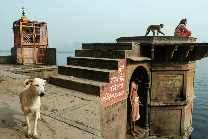Street photo showing everyday life with a man, dog, monkey, and woman near water, capturing unforgettable moments of street photography.