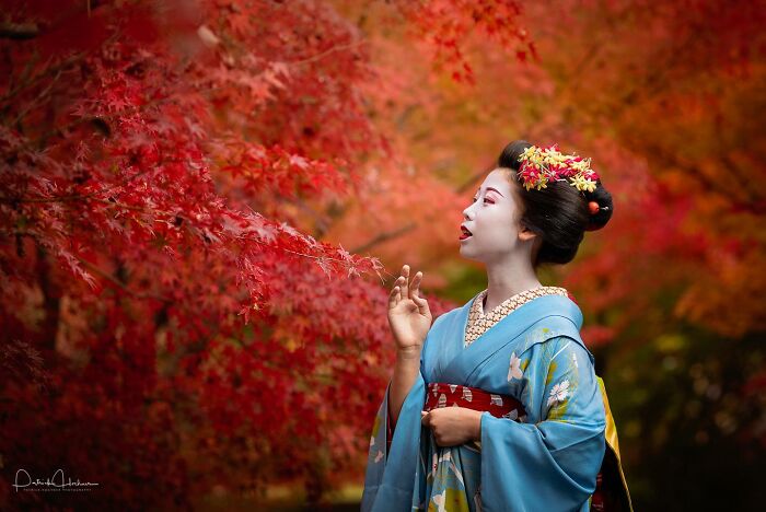 Woman in traditional kimono surrounded by vibrant red autumn leaves, capturing stunning nature, people, and life around the world