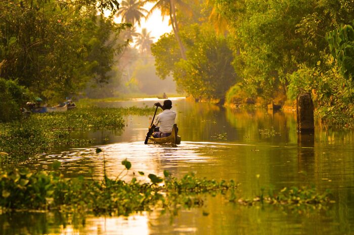 Man paddling a small boat through lush greenery on a calm river, capturing nature, people, and life around the world.