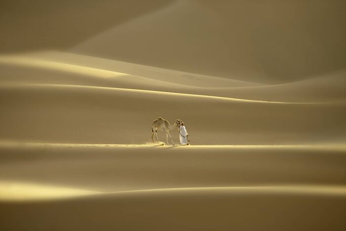 Man leading a camel through vast sand dunes, showcasing stunning nature and life around the world in the desert.