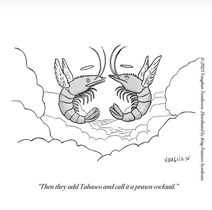 These One-Panel Cartoons By Vaughan Tomlinson Will Make You Laugh Instantly