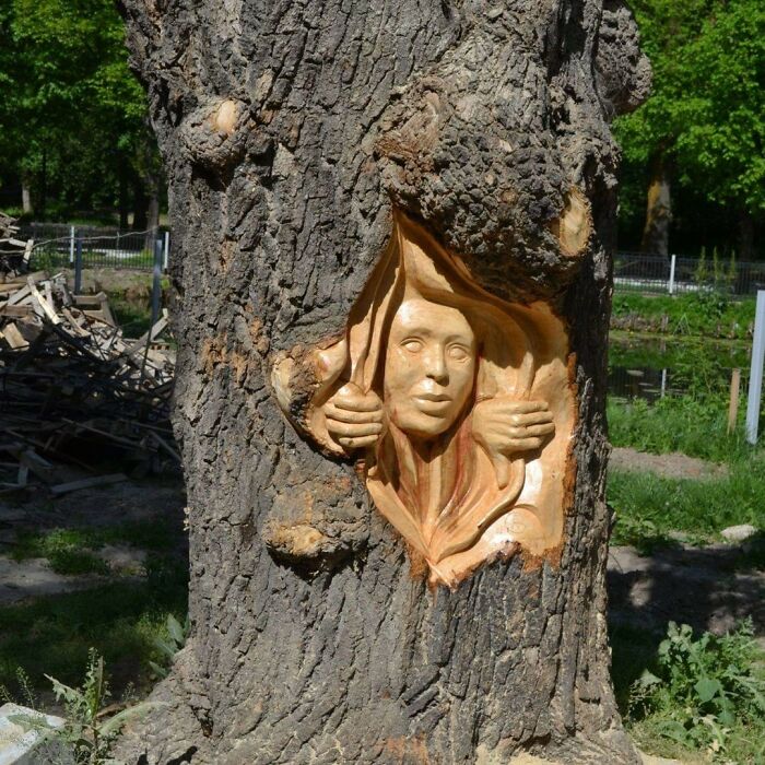 Chainsaw artist carving a detailed human face emerging from a forgotten tree trunk in an outdoor natural setting.