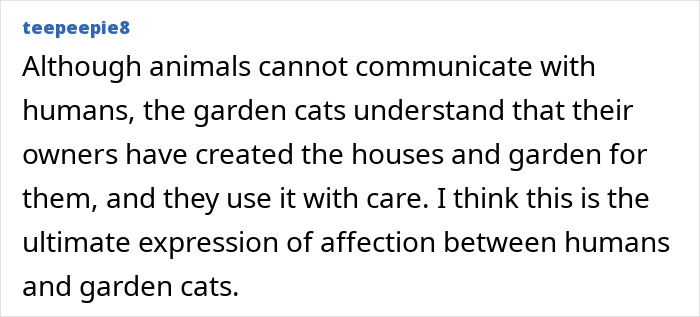 Man building a cozy house for a tuxedo cat that slept on his porch, showing affection through the garden setup. Man building a cozy house for a tuxedo cat that slept on his porch, showing affection through the garden setup.