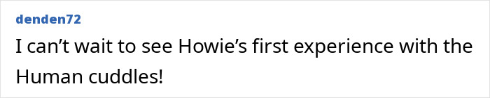 Comment text on a white background reading I can’t wait to see Howie’s first experience with the Human cuddles. Comment text on a white background reading I can’t wait to see Howie’s first experience with the Human cuddles.