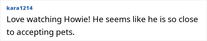 Comment about a tuxedo cat and a man building him a house, showing affection and closeness between them. Comment about a tuxedo cat and a man building him a house, showing affection and closeness between them.