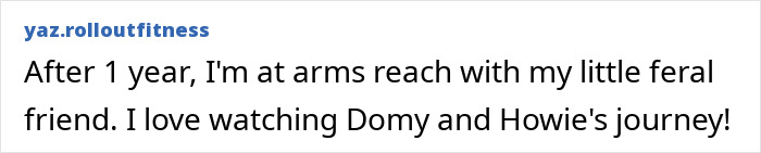 Man building a small house on porch for a tuxedo cat that often slept there, starting their unique friendship. Man building a small house on porch for a tuxedo cat that often slept there, starting their unique friendship.