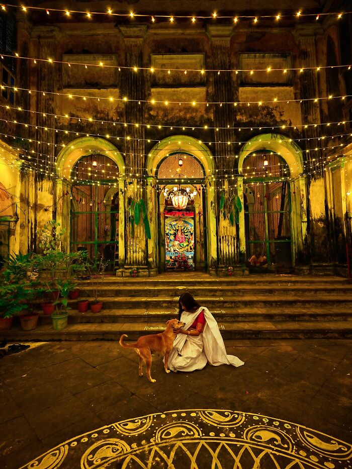 Woman in traditional dress playing with dog outside a colorfully lit building in vivid photos of India bursting with life.