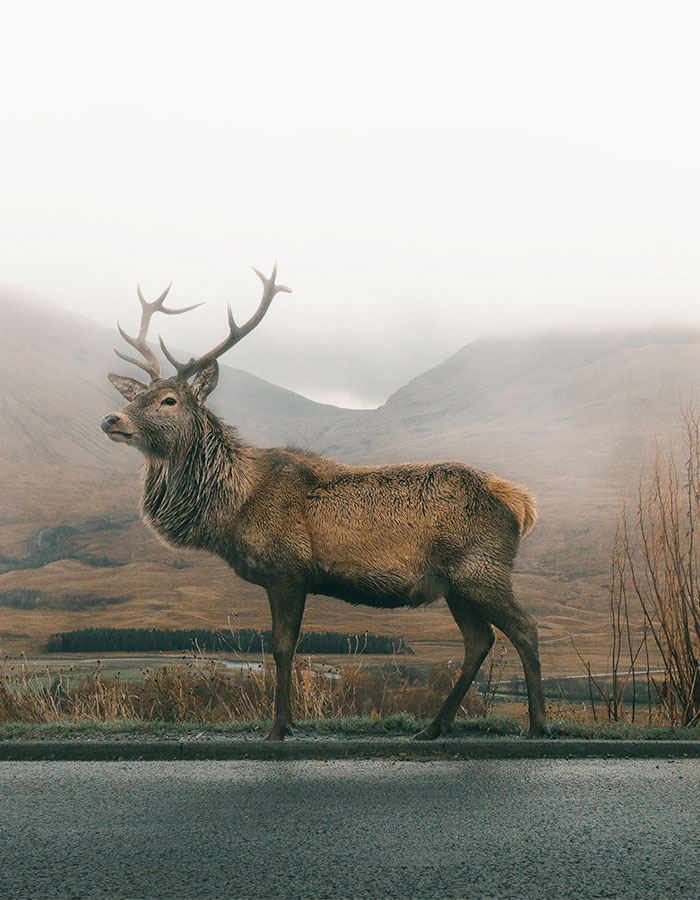 &ldquo;I Didn&rsquo;t Have Time&rdquo;: Husband Recalls &ldquo;Split Second&rdquo; Accident That Cost Miss Universe&rsquo;s Life