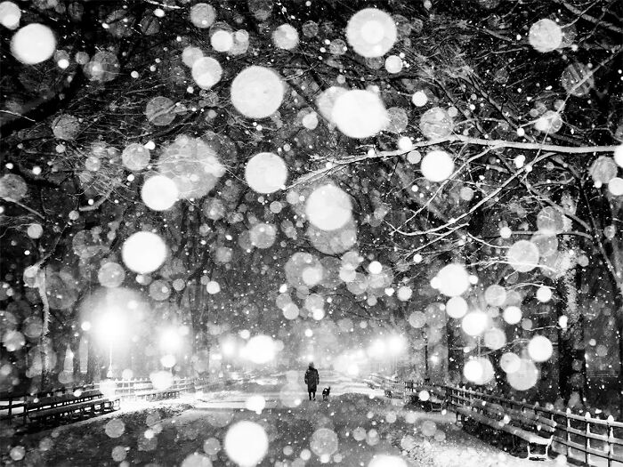 Wonderland © Russ Rowland