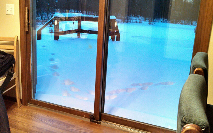 Footprints in snow viewed through a glass door showing unexpected patterns, illustrating Reddit moments not for the faint of heart.