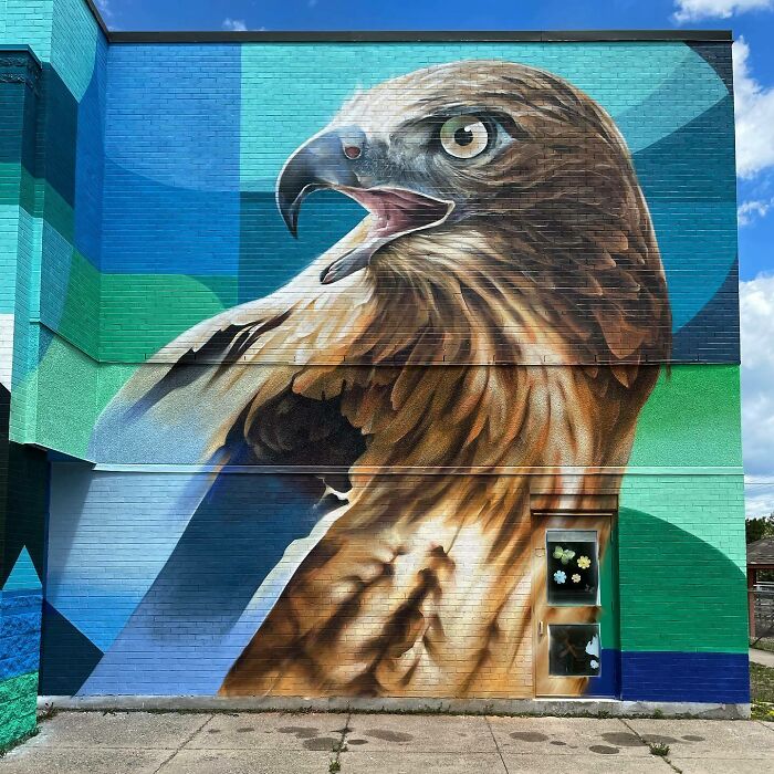 Mural of a detailed realistic hawk blending graffiti and abstraction painted on a building's exterior wall.