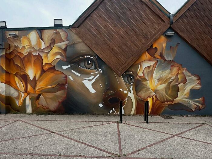 Large mural blending graffiti, realism, and abstraction, featuring a realistic face and abstract floral elements on building walls.