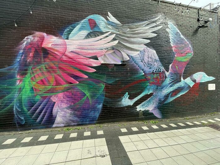 Colorful graffiti mural of birds in flight on a brick wall showcasing realism and abstract street art style.