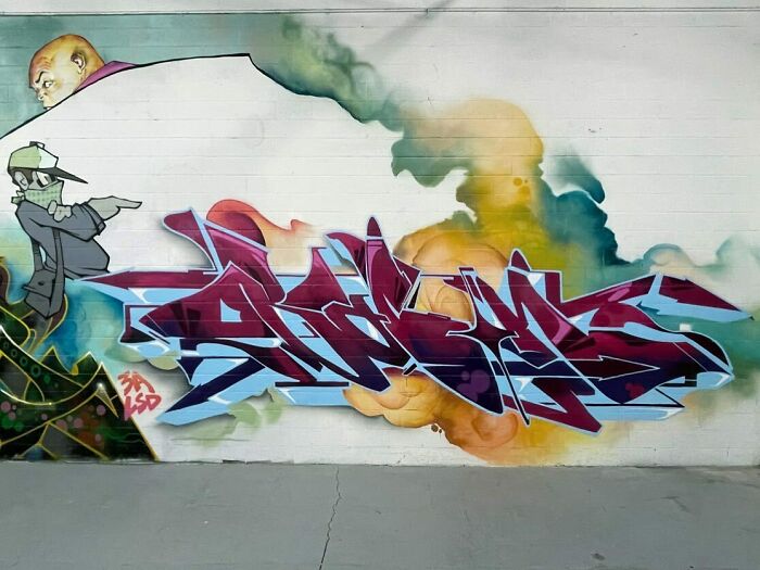 Graffiti mural blending realism and abstraction with vibrant colors and dynamic shapes on an urban wall by artist Vizsla Bacon.