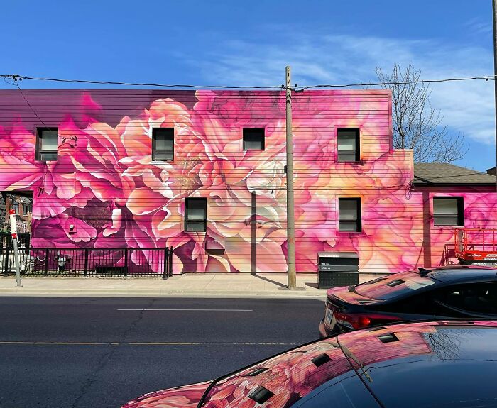 Vibrant mural blending graffiti, realism, and abstraction by Alexander Vizsla Bacon on an urban building wall.