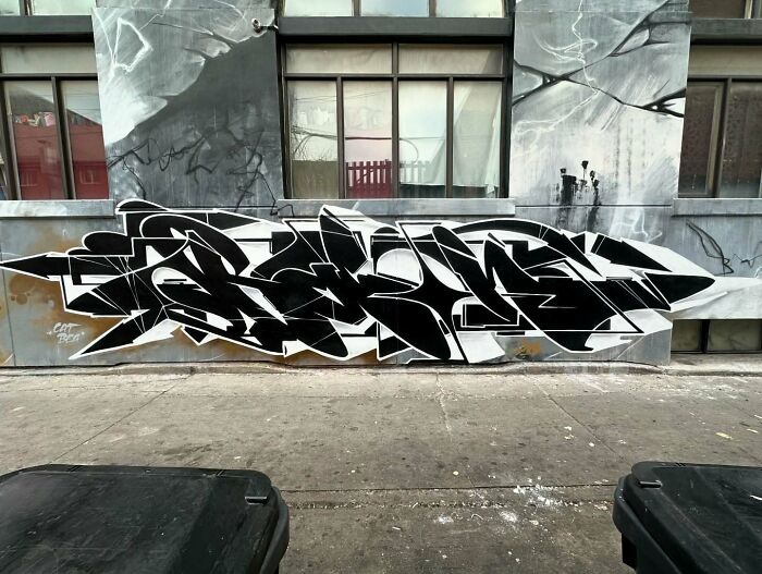 Black and white graffiti mural by Alexander Vizsla blending abstract shapes and realism on an urban building wall.