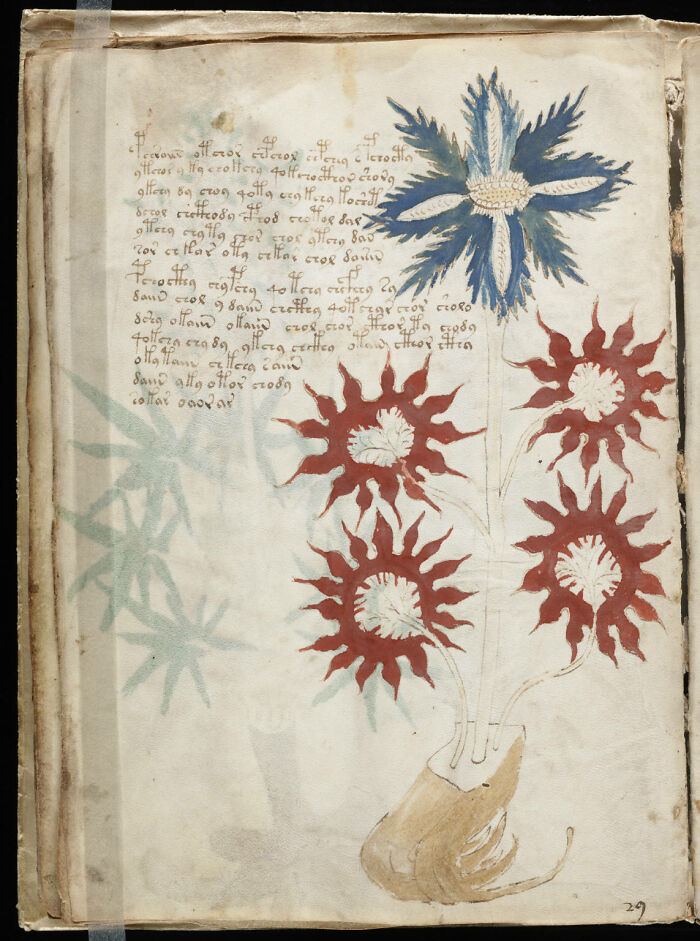 Page from an ancient manuscript featuring mysterious symbols and strange flowers, related to unsolved mysteries worldwide.