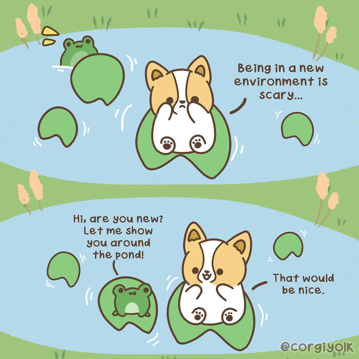 Wholesome comics featuring a shy dog and friendly frog on lily pads in a sweet new environment scene.