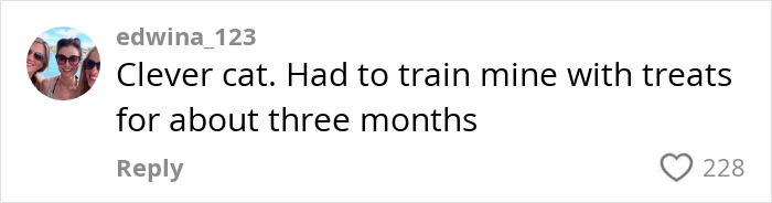 Social media comment praising clever cat trained with treats for months after handyman installs new cat flap.