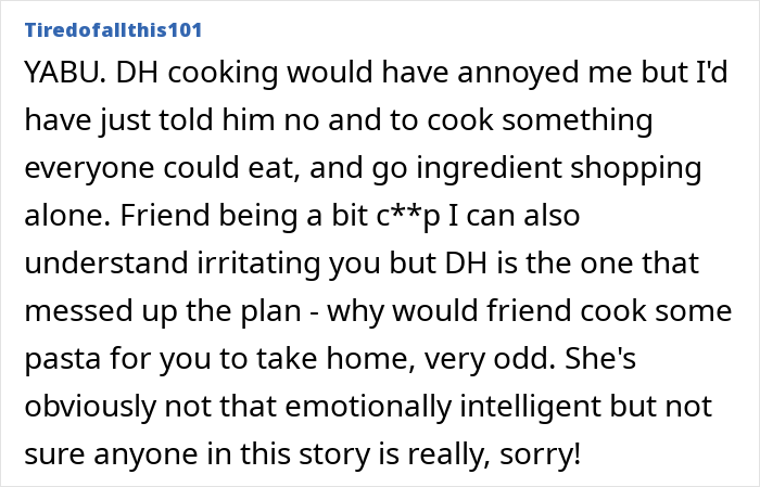 Comment discussing frustrations over a ruined trip with a friend and husband, highlighting tension and regrets.