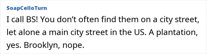 Text post discussing disbelief about encountering a situation in a US city street, mentioning Brooklyn and plantations.