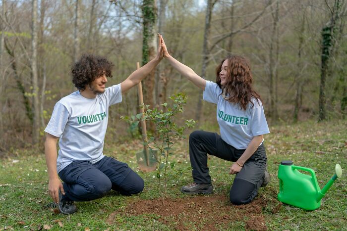 Two volunteers planting a tree outdoors, high-fiving each other, symbolizing good news and positive community actions.